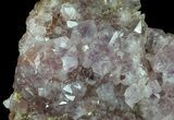 Amethyst Crystal Cluster - Morocco #61150-1